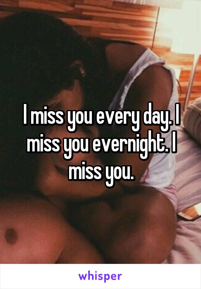 I miss you every day. I miss you evernight. I miss you.