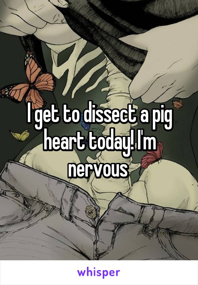 I get to dissect a pig heart today! I'm nervous 