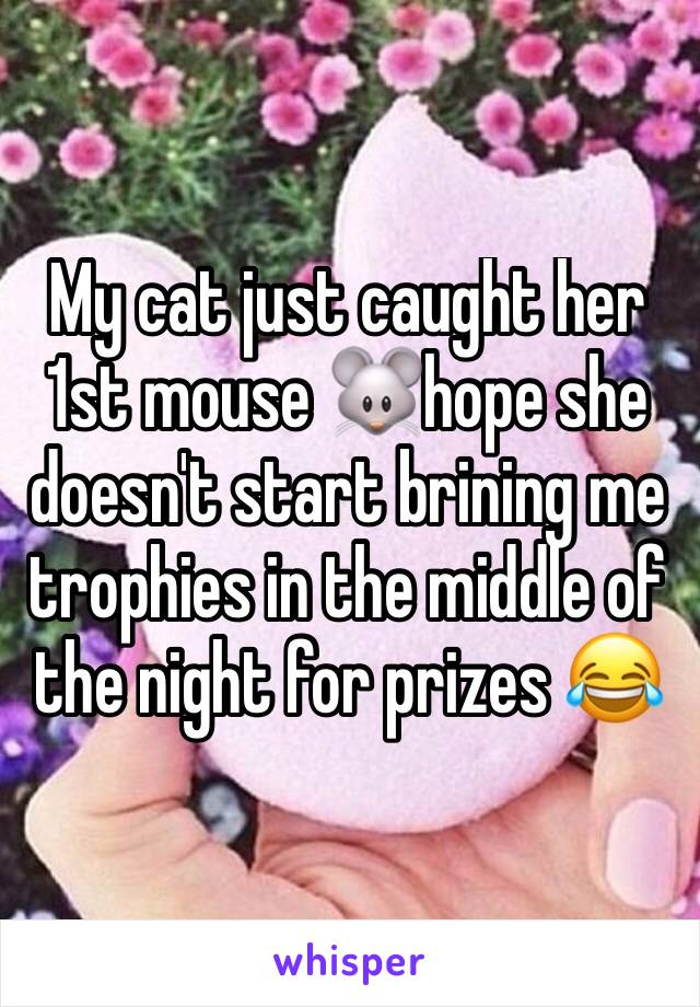 My cat just caught her 1st mouse 🐭hope she doesn't start brining me trophies in the middle of the night for prizes 😂