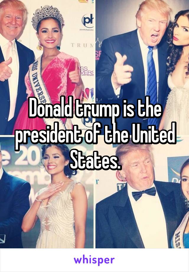 Donald trump is the president of the United States.