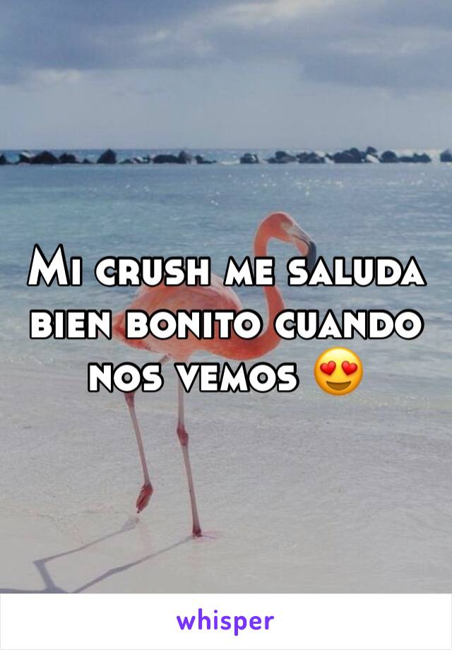 Mi crush me saluda bien bonito cuando nos vemos 😍