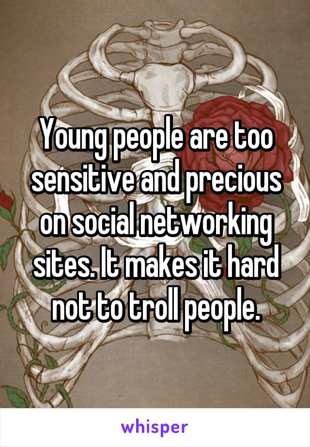 Young people are too sensitive and precious on social networking sites. It makes it hard not to troll people.