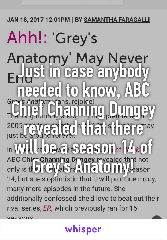 Just in case anybody needed to know, ABC Chief Channing Dungey revealed that there will be a season 14 of Grey's Anatomy!