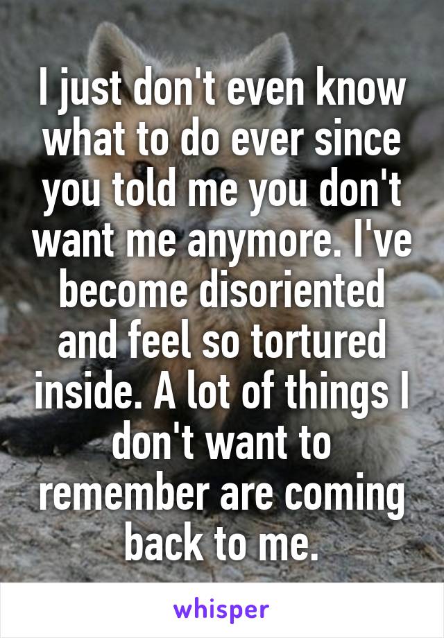 I just don't even know what to do ever since you told me you don't want me anymore. I've become disoriented and feel so tortured inside. A lot of things I don't want to remember are coming back to me.