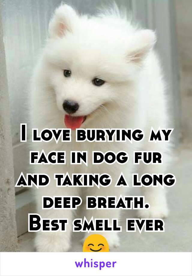 I love burying my face in dog fur and taking a long deep breath.
Best smell ever
😊