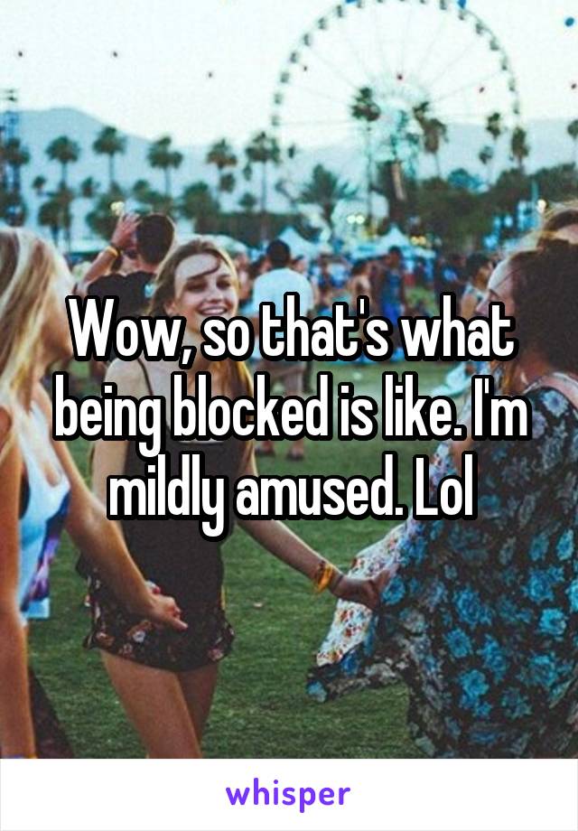 Wow, so that's what being blocked is like. I'm mildly amused. Lol