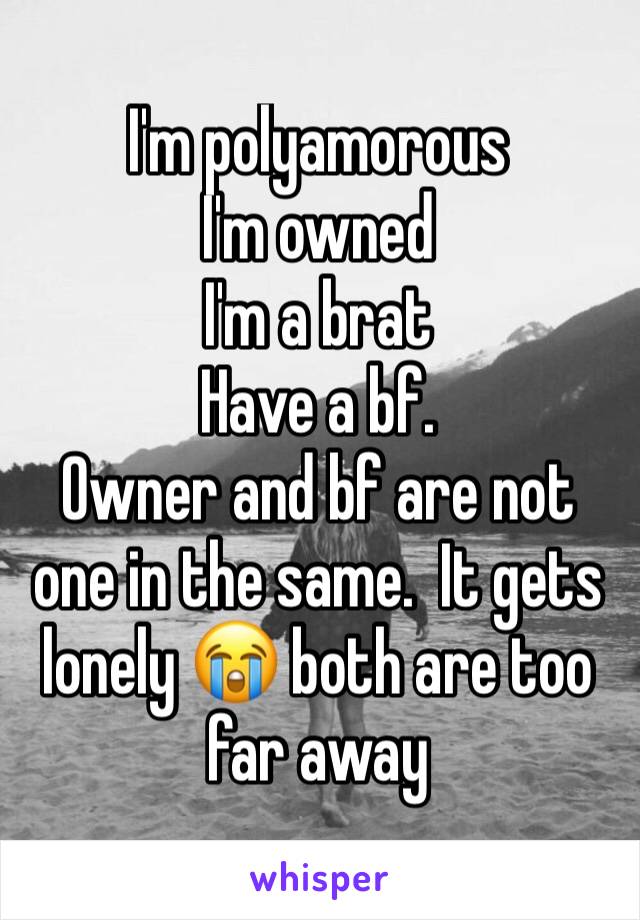 I'm polyamorous 
I'm owned 
I'm a brat
Have a bf. 
Owner and bf are not one in the same.  It gets lonely 😭 both are too far away 