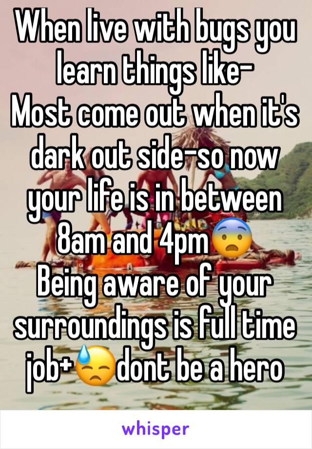 When live with bugs you learn things like-
Most come out when it's dark out side-so now your life is in between 8am and 4pm😨
Being aware of your surroundings is full time job+😓dont be a hero
