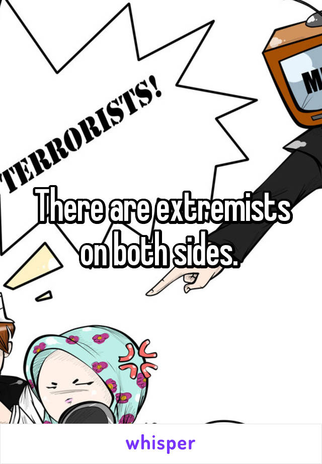 There are extremists on both sides. 