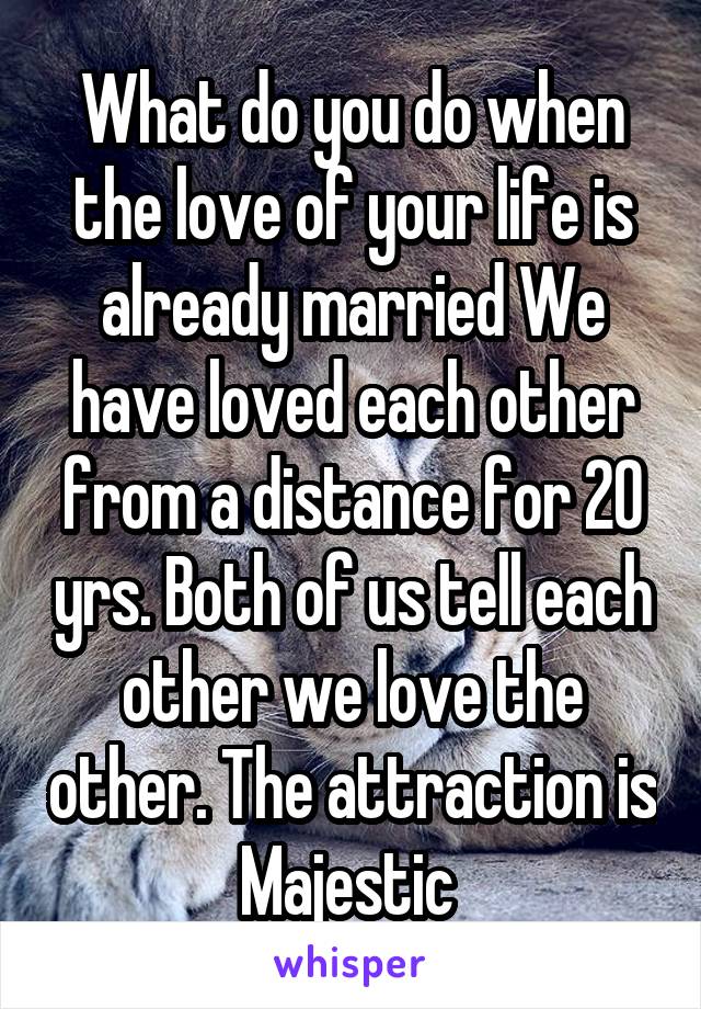 What do you do when the love of your life is already married We have loved each other from a distance for 20 yrs. Both of us tell each other we love the other. The attraction is Majestic 