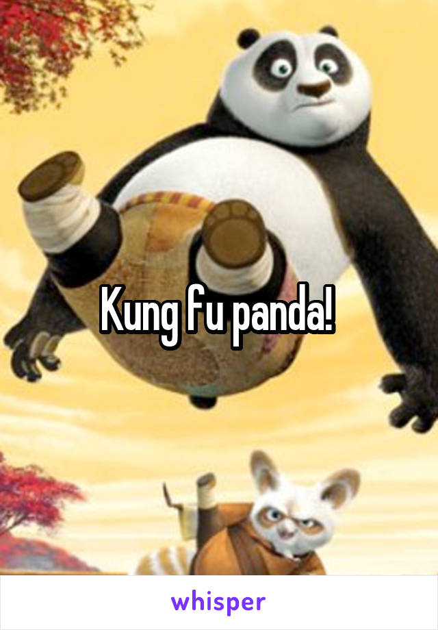 Kung fu panda! 