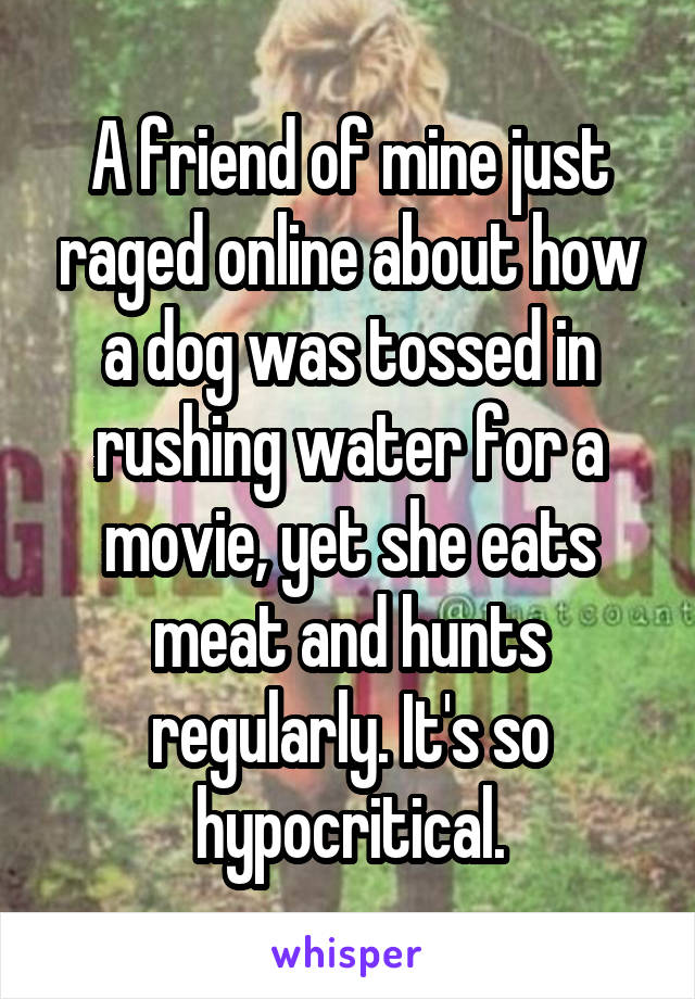 A friend of mine just raged online about how a dog was tossed in rushing water for a movie, yet she eats meat and hunts regularly. It's so hypocritical.