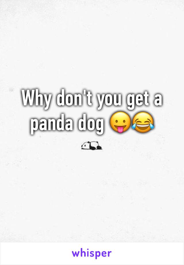 Why don't you get a panda dog 😛😂