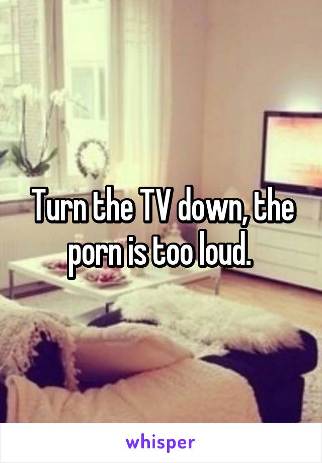 Turn the TV down, the porn is too loud. 