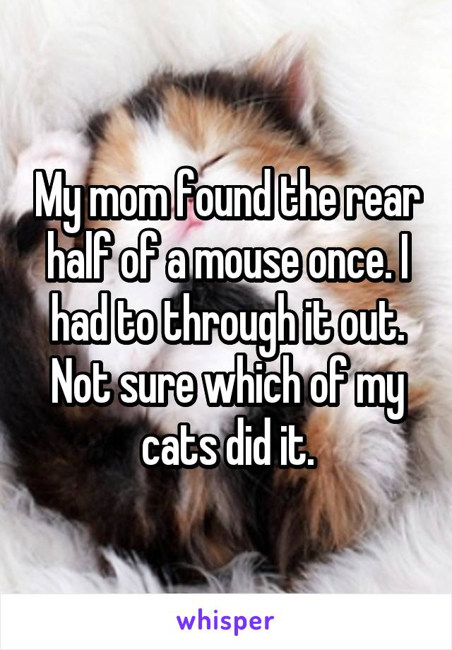 My mom found the rear half of a mouse once. I had to through it out. Not sure which of my cats did it.