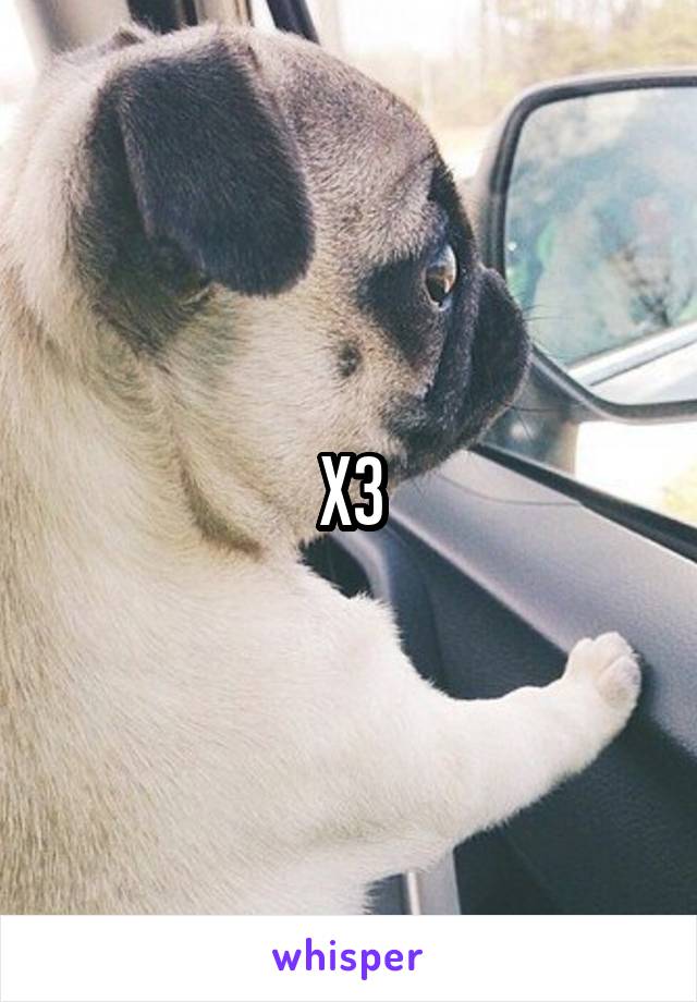 X3