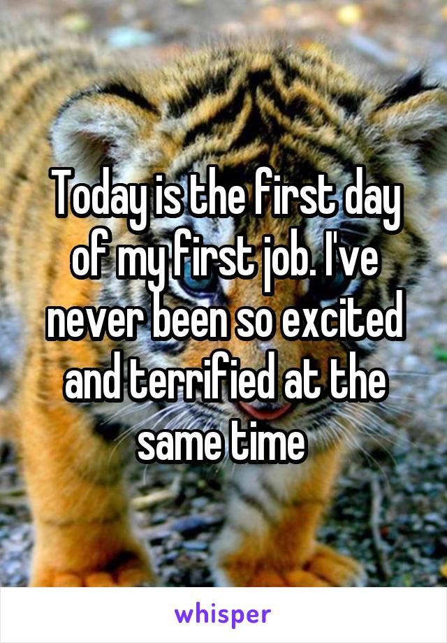 Today is the first day of my first job. I've never been so excited and terrified at the same time 