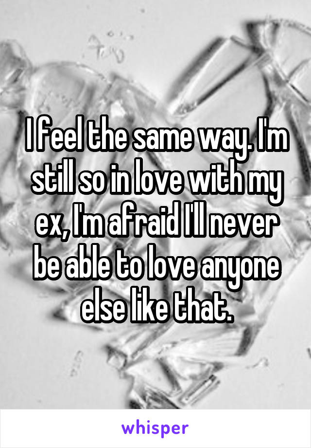 I feel the same way. I'm still so in love with my ex, I'm afraid I'll never be able to love anyone else like that.