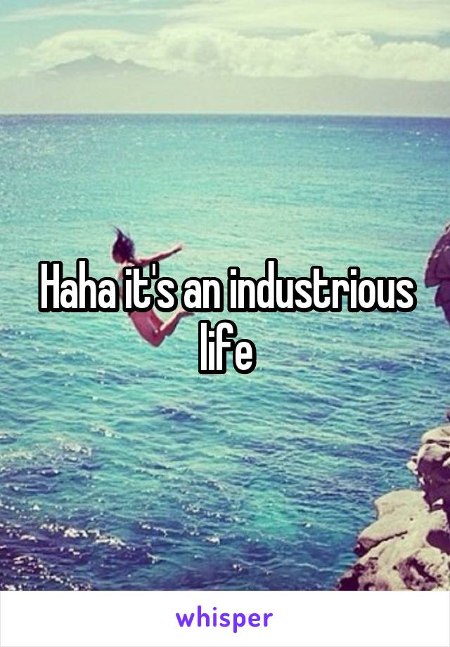 Haha it's an industrious life