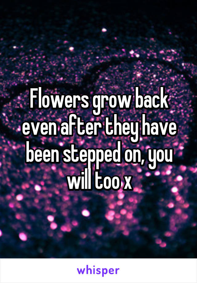 Flowers grow back even after they have been stepped on, you will too x