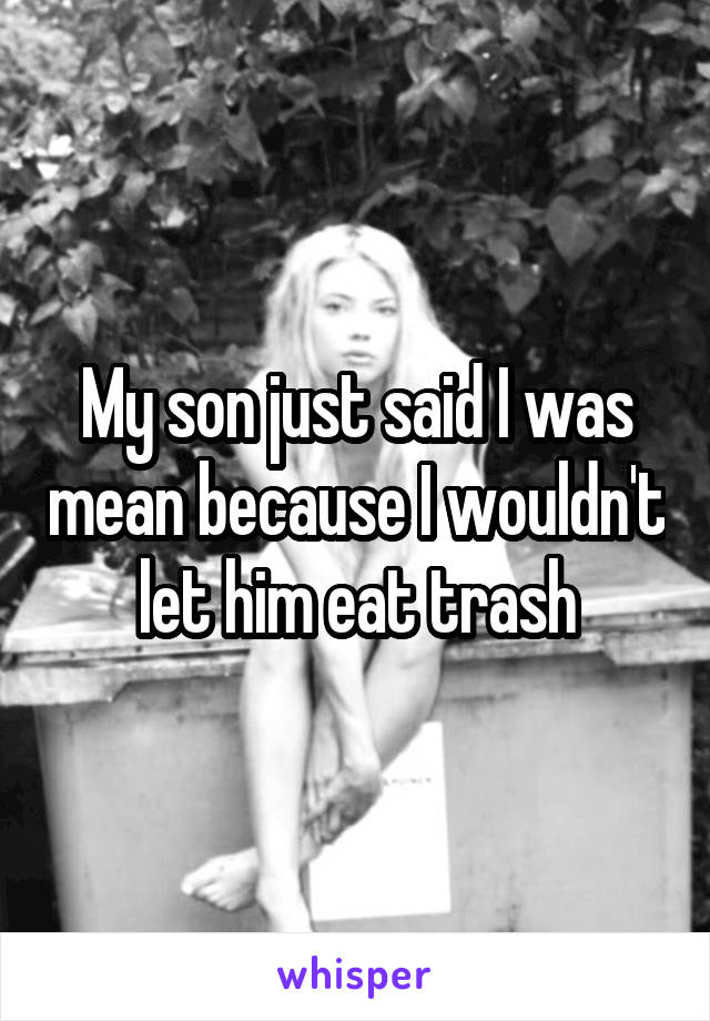 My son just said I was mean because I wouldn't let him eat trash