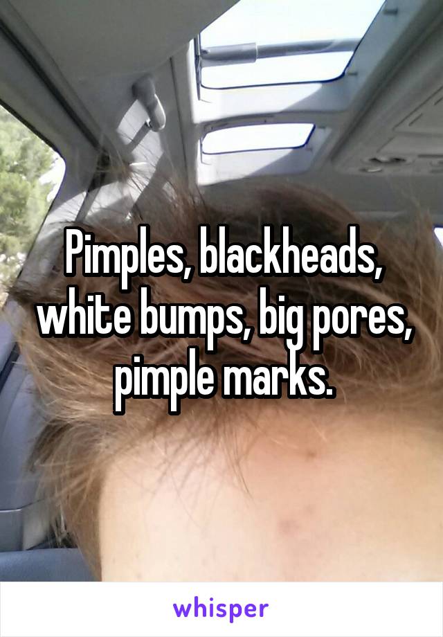 Pimples, blackheads, white bumps, big pores, pimple marks.