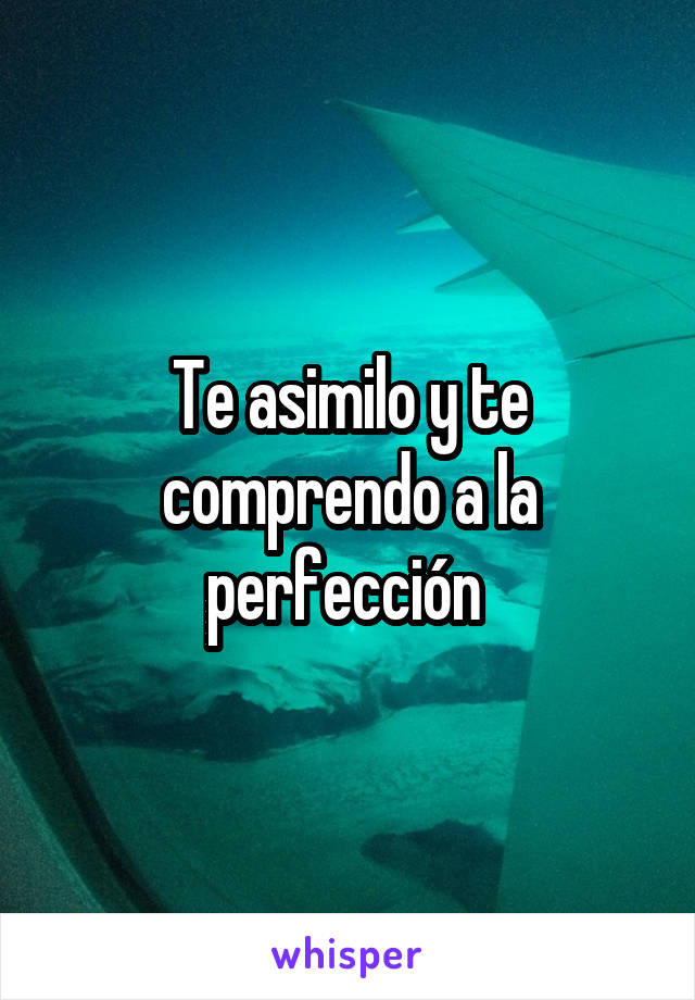 Te asimilo y te comprendo a la perfección 