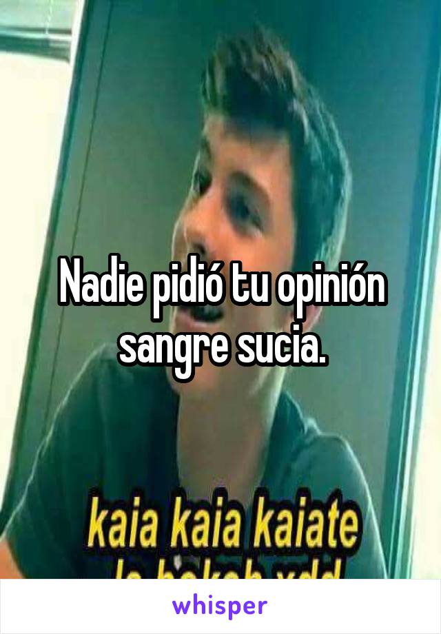 Nadie pidió tu opinión sangre sucia.