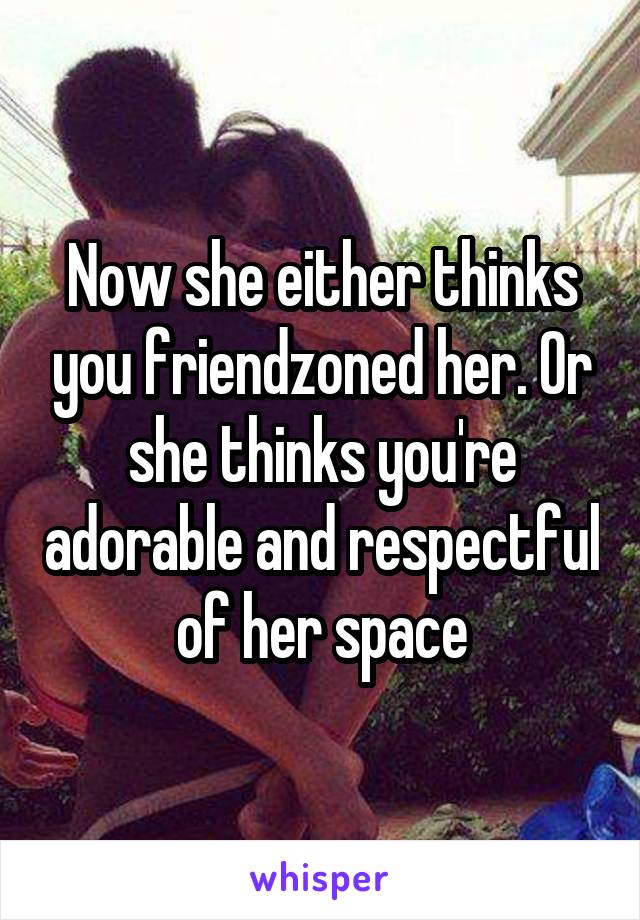 Now she either thinks you friendzoned her. Or she thinks you're adorable and respectful of her space