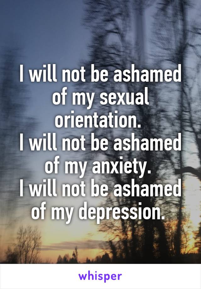 I will not be ashamed of my sexual orientation. 
I will not be ashamed of my anxiety. 
I will not be ashamed of my depression. 