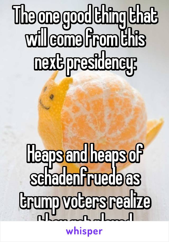 The one good thing that will come from this next presidency:



Heaps and heaps of schadenfruede as trump voters realize they got played