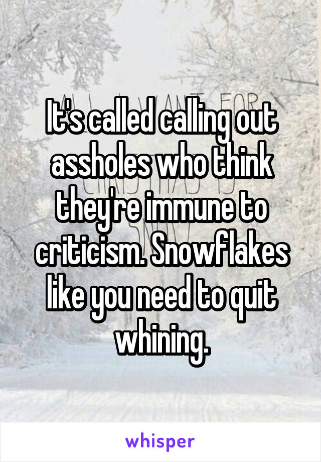 It's called calling out assholes who think they're immune to criticism. Snowflakes like you need to quit whining.