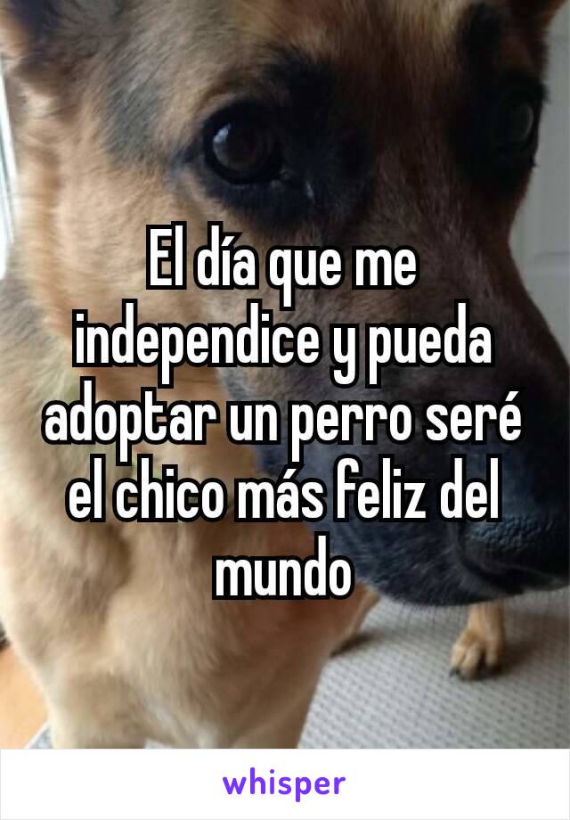 El día que me independice y pueda adoptar un perro seré el chico más feliz del mundo