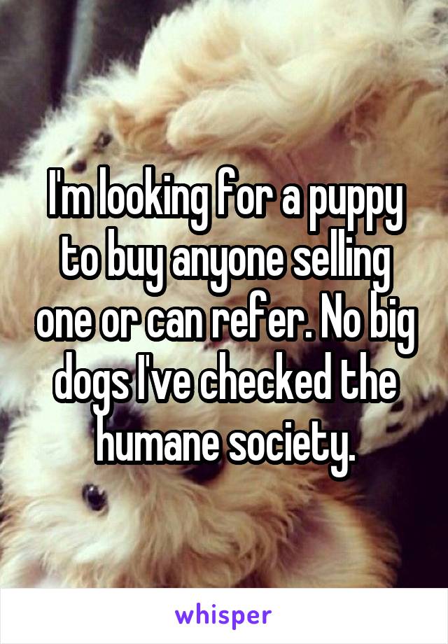 I'm looking for a puppy to buy anyone selling one or can refer. No big dogs I've checked the humane society.