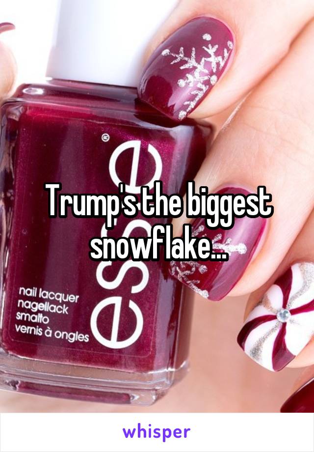 Trump's the biggest snowflake...