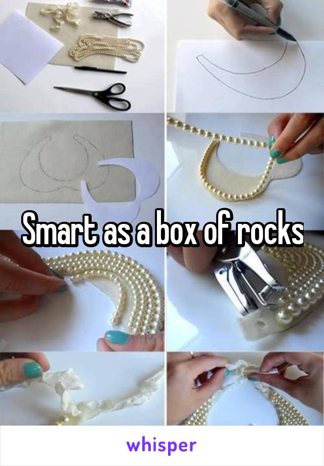 Smart as a box of rocks