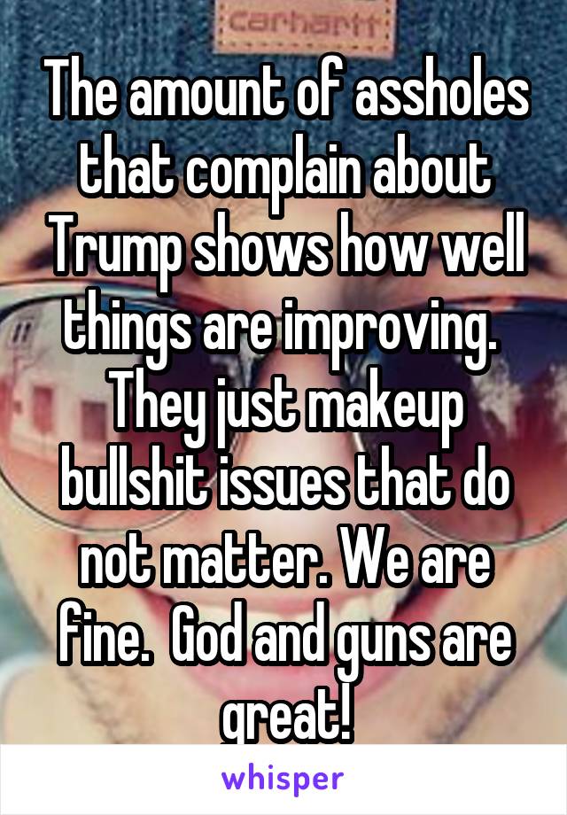 The amount of assholes that complain about Trump shows how well things are improving.  They just makeup bullshit issues that do not matter. We are fine.  God and guns are great!