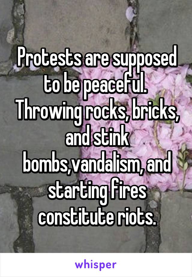 Protests are supposed to be peaceful.  Throwing rocks, bricks, and stink bombs,vandalism, and starting fires constitute riots.