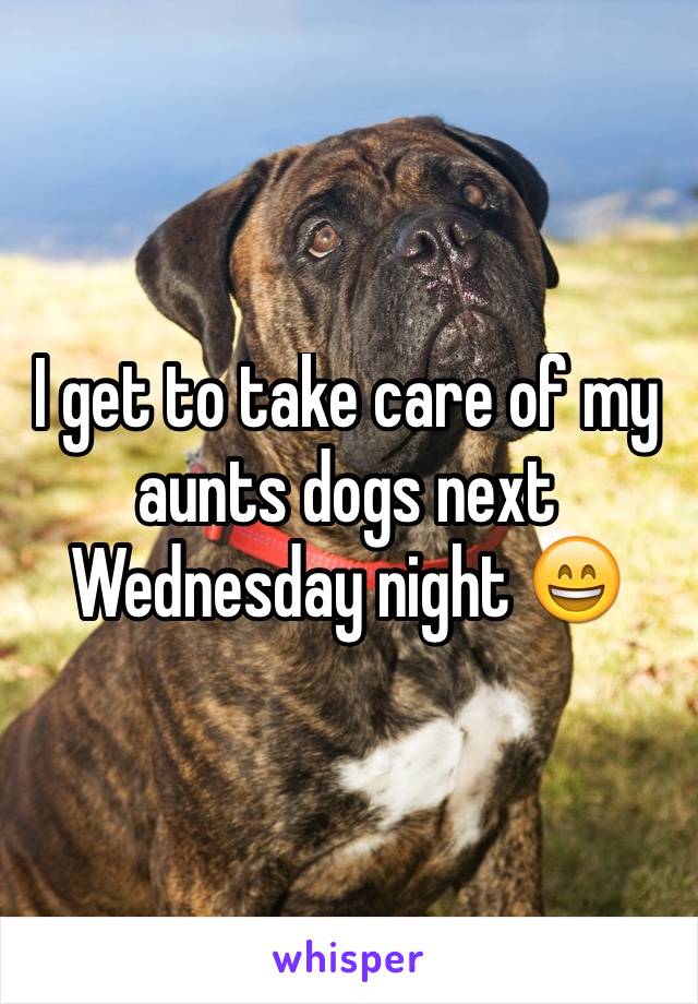 I get to take care of my aunts dogs next Wednesday night 😄