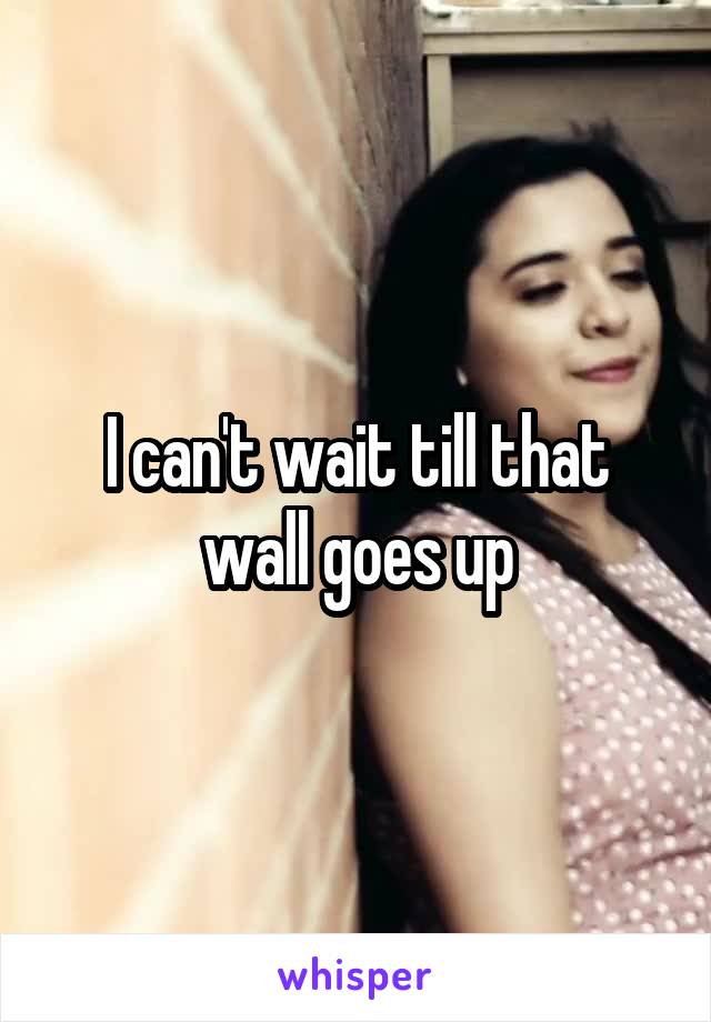 I can't wait till that wall goes up