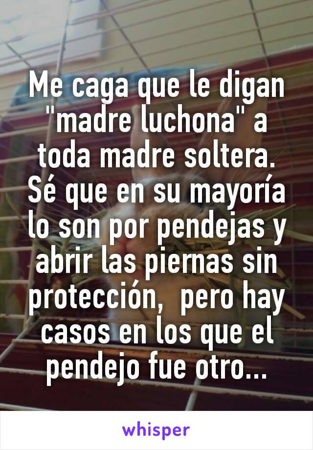 Me caga que le digan "madre luchona" a toda madre soltera. Sé que en su mayoría lo son por pendejas y abrir las piernas sin protección,  pero hay casos en los que el pendejo fue otro...