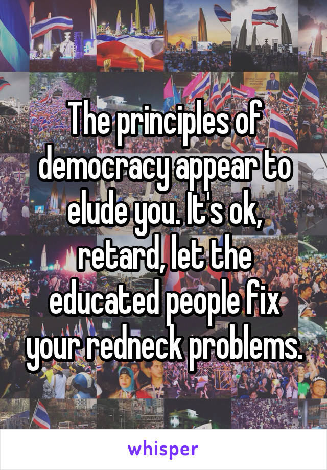 The principles of democracy appear to elude you. It's ok, retard, let the educated people fix your redneck problems.