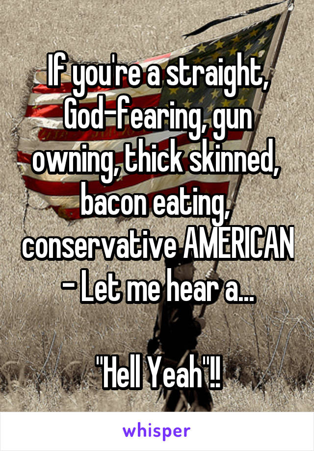 If you're a straight, God-fearing, gun owning, thick skinned,  bacon eating,  conservative AMERICAN - Let me hear a...

"Hell Yeah"!!