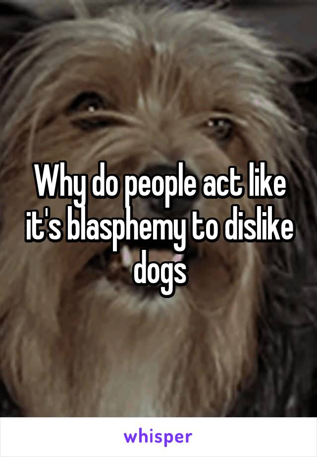 Why do people act like it's blasphemy to dislike dogs