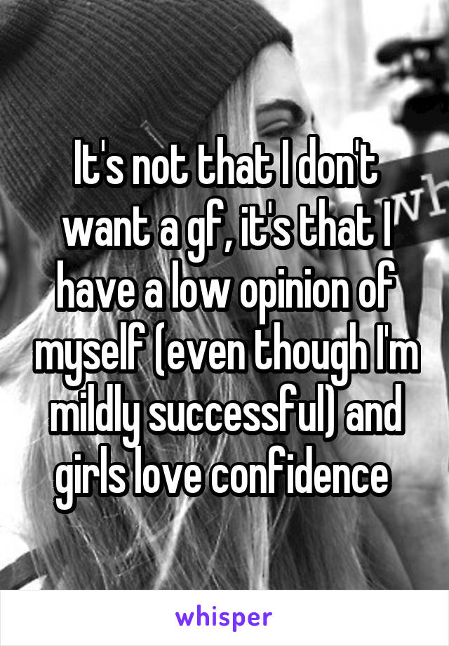 It's not that I don't want a gf, it's that I have a low opinion of myself (even though I'm mildly successful) and girls love confidence 