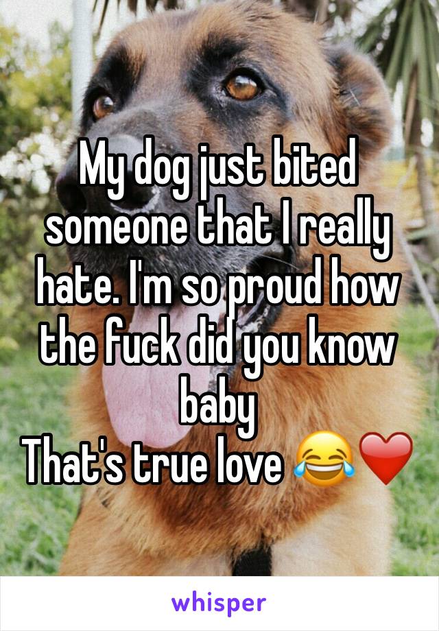 My dog just bited someone that I really hate. I'm so proud how the fuck did you know baby
That's true love 😂❤️️