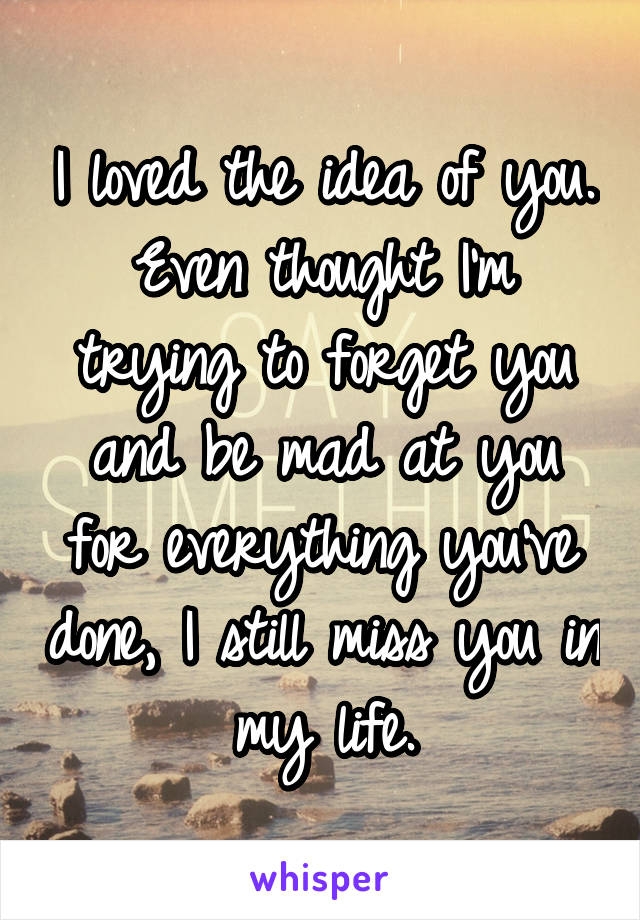 I loved the idea of you. Even thought I'm trying to forget you and be mad at you for everything you've done, I still miss you in my life.