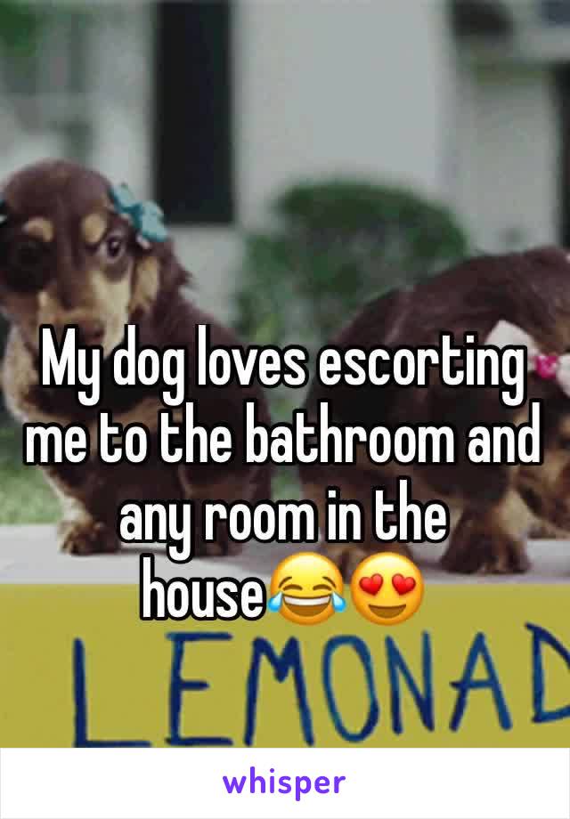 My dog loves escorting me to the bathroom and any room in the house😂😍