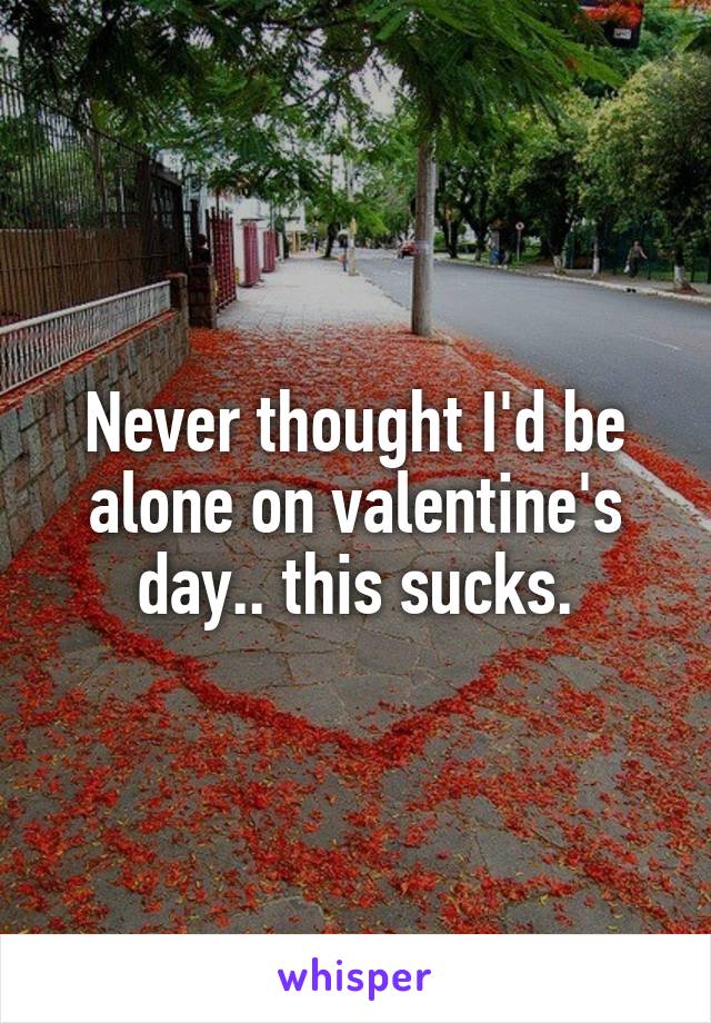 Never thought I'd be alone on valentine's day.. this sucks.