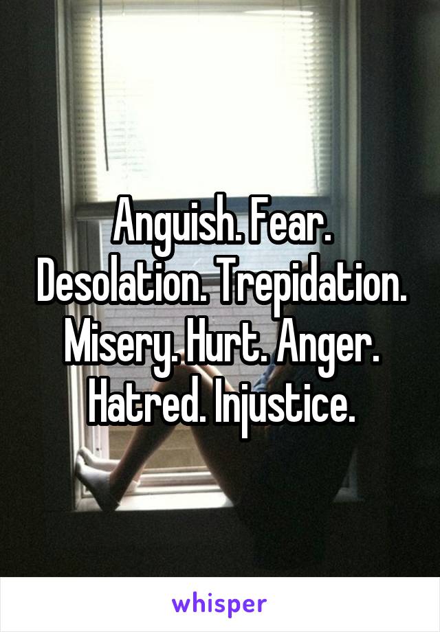 Anguish. Fear. Desolation. Trepidation. Misery. Hurt. Anger. Hatred. Injustice.